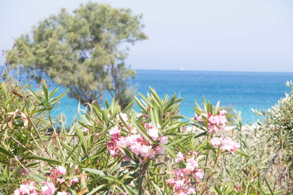 Villa Yialos Antiparos Town Zewnętrze zdjęcie